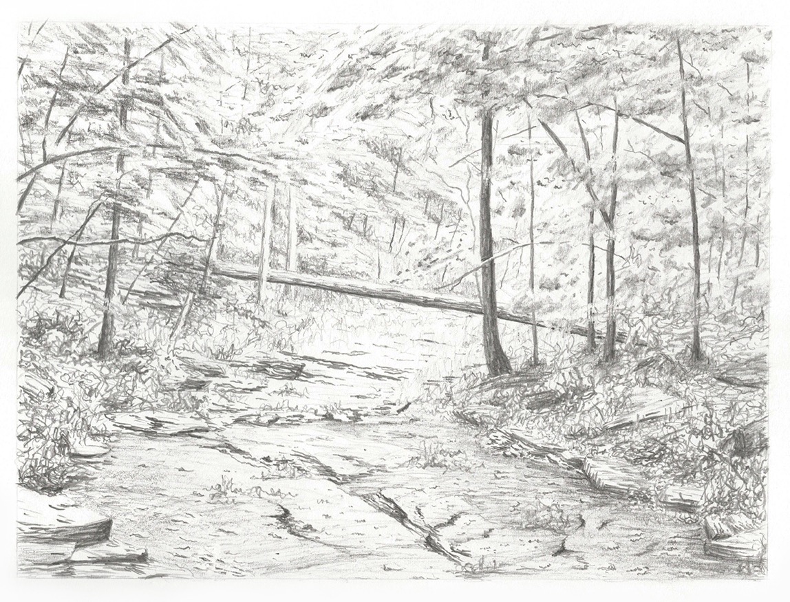 Shawnee Forest